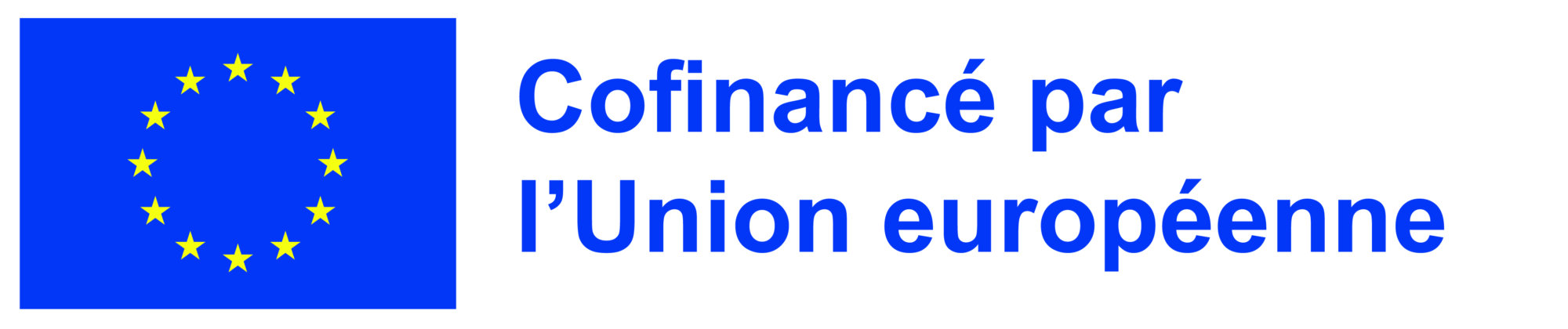 UNION EUROPEENNE/REGION GRAND EST Saint-Di&eacute;-des-Vosges
