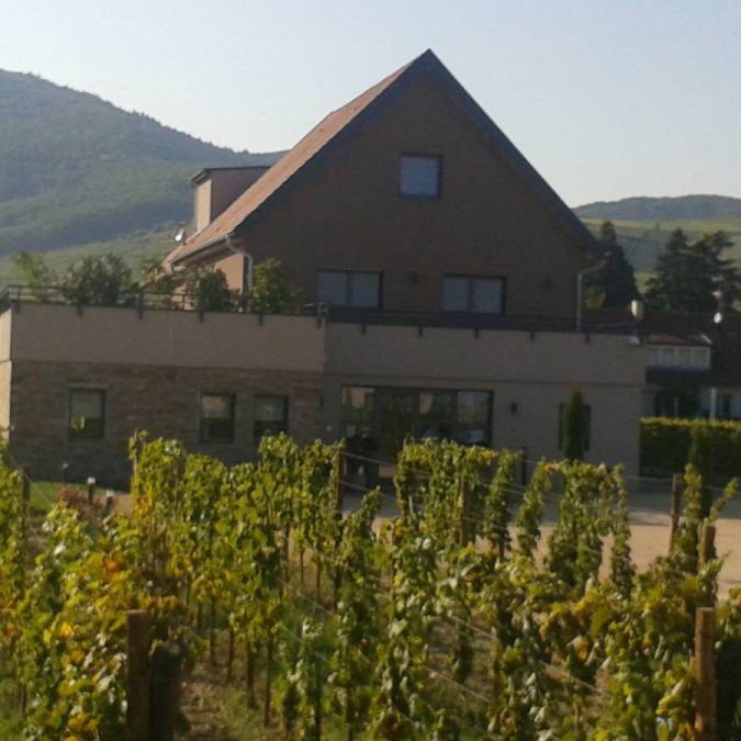 DOMAINE SAINT REMY &#8211; WETTOLSHEIM Wittenheim